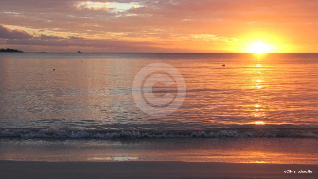 Fantastic Spacious Beachfront Villavacances Grand Bay Exteriér fotografie
